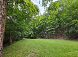 1981 Buffalo Hollow Rd., Romney, WV  26757