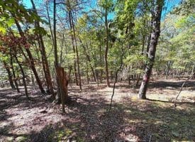 7313 Little Cacapon Rd., Romney, WV  26757