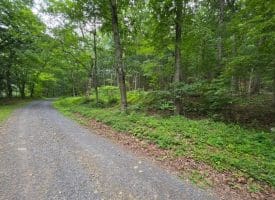 1981 Buffalo Hollow Rd., Romney, WV  26757