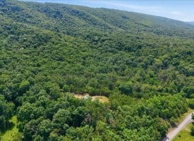 3300 Foxes Hollow Road, Romney, WV  26757