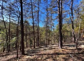 7313 Little Cacapon Rd., Romney, WV  26757