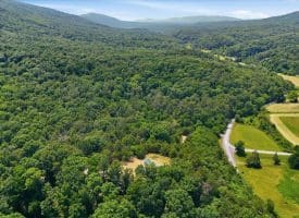3300 Foxes Hollow Road, Romney, WV  26757