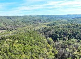 7313 Little Cacapon Rd., Romney, WV  26757