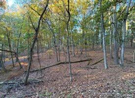 7313 Little Cacapon Rd., Romney, WV  26757