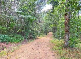 Lot 8 Harper Drive, Augusta WV  26704