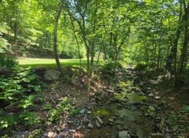 1981 Buffalo Hollow Rd., Romney, WV  26757