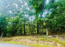 Lot 2 Pepper Ln, Great Cacapon, WV  25422