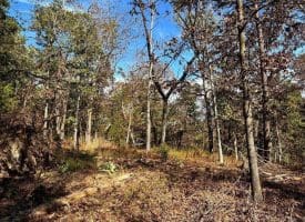7313 Little Cacapon Rd., Romney, WV  26757