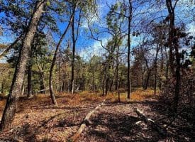 7313 Little Cacapon Rd., Romney, WV  26757