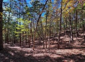 7313 Little Cacapon Rd., Romney, WV  26757