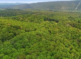 345 Albino Drive, Springfield, WV 26763