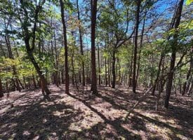 7313 Little Cacapon Rd., Romney, WV  26757