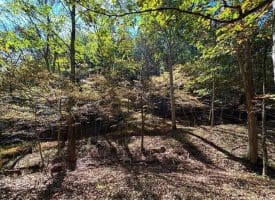 7313 Little Cacapon Rd., Romney, WV  26757