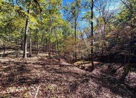 7313 Little Cacapon Rd., Romney, WV  26757