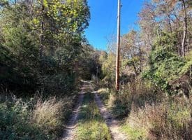 7313 Little Cacapon Rd., Romney, WV  26757