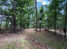 7313 Little Cacapon Rd., Romney, WV  26757