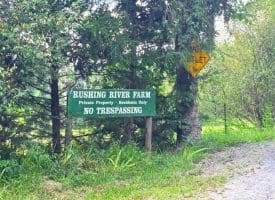 Lot 8 Harper Drive, Augusta WV  26704