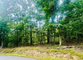 Lot 2 Pepper Ln, Great Cacapon, WV  25422
