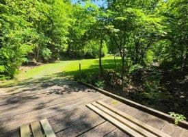 1981 Buffalo Hollow Rd., Romney, WV  26757