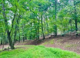 Lot 2 Pepper Ln, Great Cacapon, WV  25422