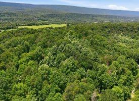 351 Silvercreek Lane, Berkeley Springs, WV 25411