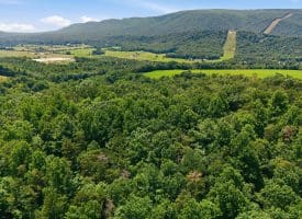 351 Silvercreek Lane, Berkeley Springs, WV 25411