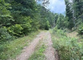 7313 Little Cacapon Rd., Romney, WV  26757