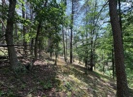 7313 Little Cacapon Rd., Romney, WV  26757