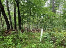 Tr D-15 Deer Path Rd., Augusta, WV  26704