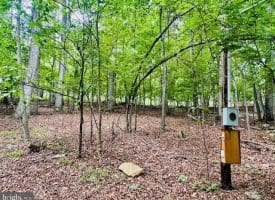 Lot 2 Pepper Ln, Great Cacapon, WV  25422