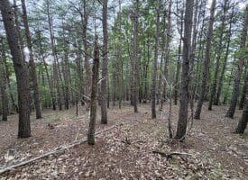 Lot 126 Bluffs Blue Beach Road, Springfield, WV 26763