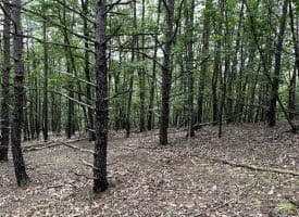 Lot 126 Bluffs Blue Beach Road, Springfield, WV 26763