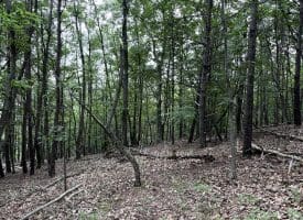 Lot 126 Bluffs Blue Beach Road, Springfield, WV 26763