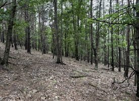 Lot 126 Bluffs Blue Beach Road, Springfield, WV 26763