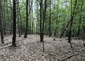 Lot 126 Bluffs Blue Beach Road, Springfield, WV 26763