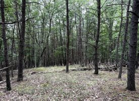 Lot 126 Bluffs Blue Beach Road, Springfield, WV 26763