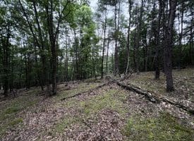 Lot 126 Bluffs Blue Beach Road, Springfield, WV 26763