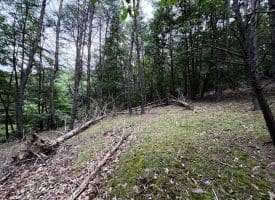 Lot 126 Bluffs Blue Beach Road, Springfield, WV 26763