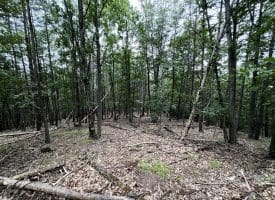 Lot 126 Bluffs Blue Beach Road, Springfield, WV 26763