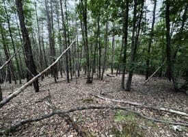 Lot 126 Bluffs Blue Beach Road, Springfield, WV 26763