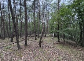 Lot 126 Bluffs Blue Beach Road, Springfield, WV 26763