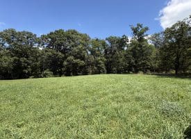20.92 Acres Wilson’s Lane, High View, WV 26808