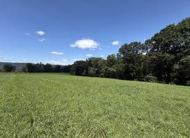 20.92 Acres Wilson’s Lane, High View, WV 26808