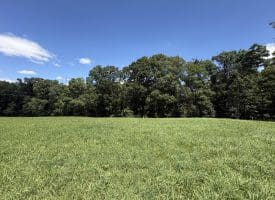20.92 Acres Wilson’s Lane, High View, WV 26808