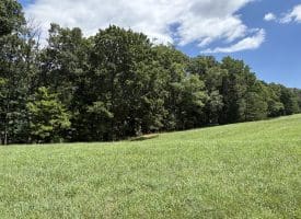20.92 Acres Wilson’s Lane, High View, WV 26808