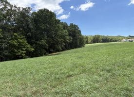 20.92 Acres Wilson’s Lane, High View, WV 26808