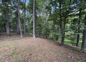 20.92 Acres Wilson’s Lane, High View, WV 26808