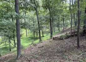 20.92 Acres Wilson’s Lane, High View, WV 26808