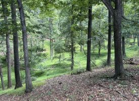 20.92 Acres Wilson’s Lane, High View, WV 26808