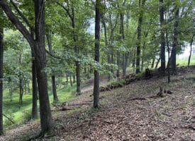20.92 Acres Wilson’s Lane, High View, WV 26808